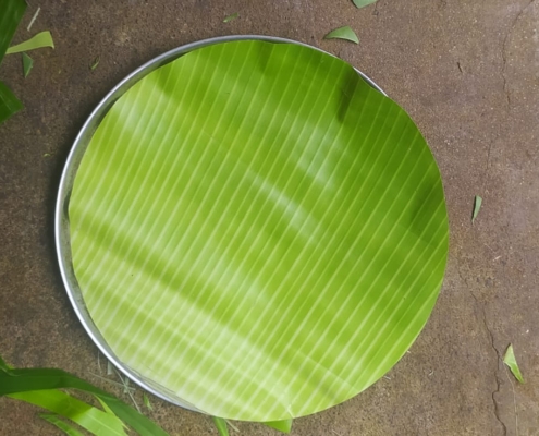 RKP Palani & Co (10)